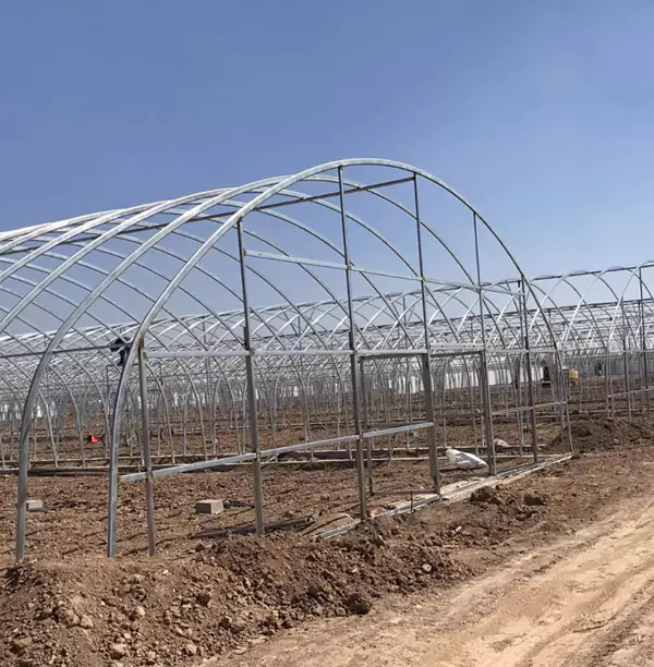 Mga Tubong Greenhouse